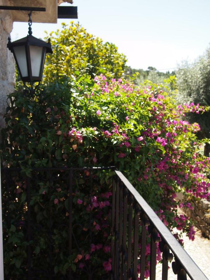 Casa Das Magnolias De Igarei Luaran gambar